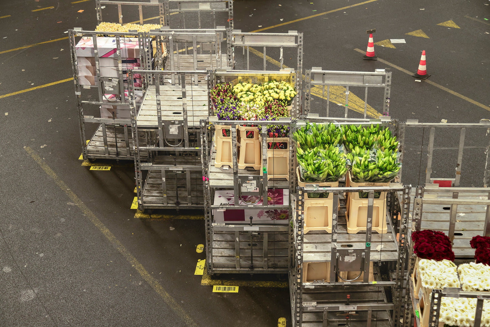 Køletransport af blomster: tips til blomsterbranchen