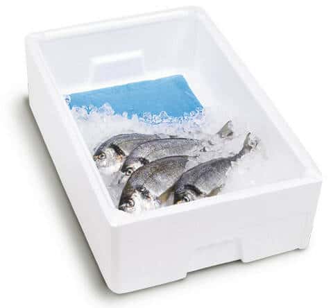 Absorptionsmåtte til fisk - diverse formater (10 stk)